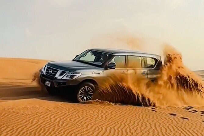 Dubai Private Morning Safari with Camel Ride - The Itinerary: What to Expect