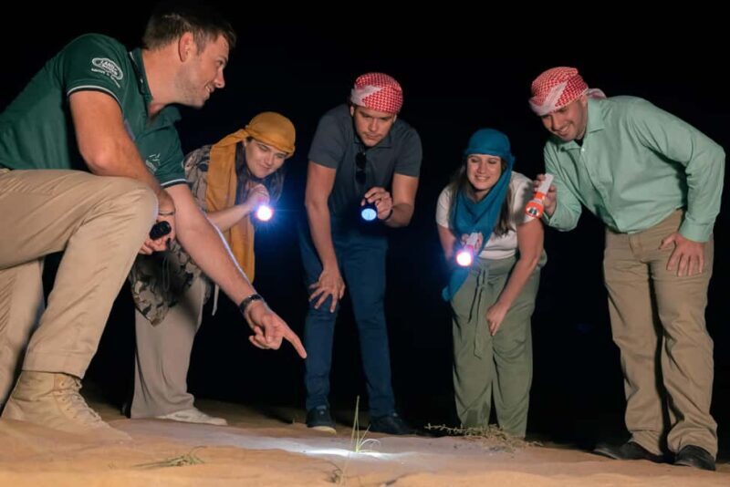 Dubai: Private Night Safari & Astronomy with 3-Course Dinner - Practical Aspects & Value