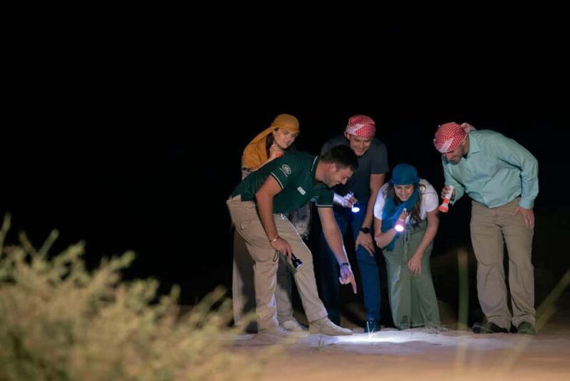 Dubai: Private Night Safari & Astronomy with 3-Course Dinner - What to Expect at the Dunes