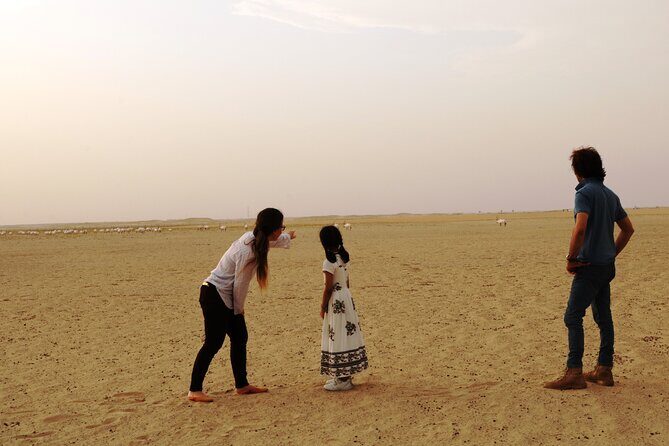 Dubai Private Sunset Desert Drive with Wildlife Experience - Scenic Drive and Dune Bashing
