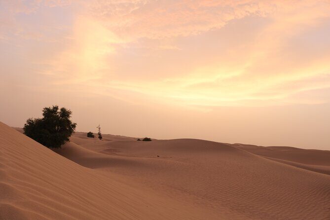 Dubai Private Sunset Desert Drive with Wildlife Experience - The Sum Up