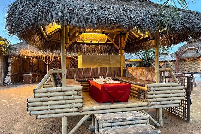 Dubai Red Desert Safari sharing basis with Camel, Shows & Dinner - Final Thoughts