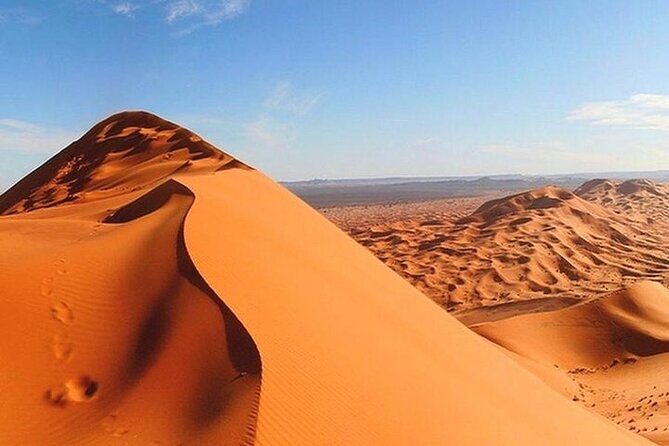 Dubai Red Dunes ATV, Camels, Stargazing & 5* BBQ - Who Should Consider This Tour