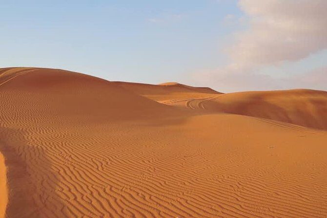 Dubai Red Dunes Desert Safari Adventure - What to Expect from the Dubai Red Dunes Desert Safari