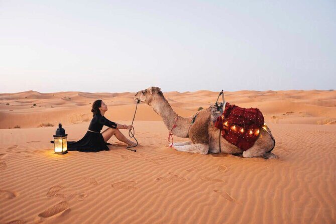 Dubai: Red Dunes Desert Safari, Camel ride, Sandboard, Quad Bike - Key Points