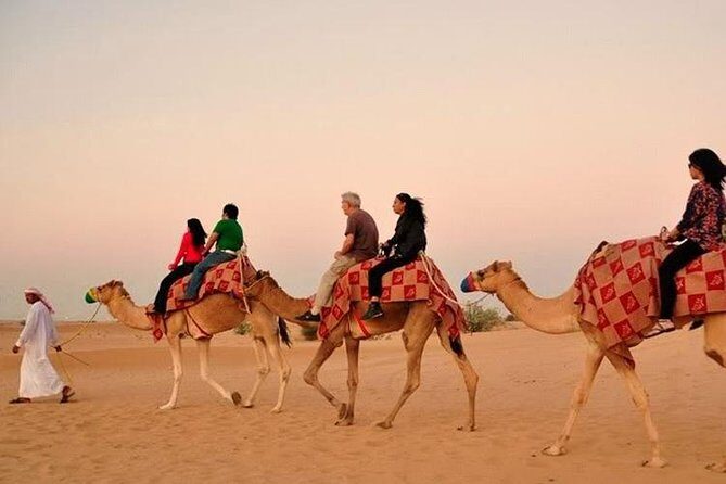 Dubai Red Dunes Desert Safari : Sandboarding, BBQ & Live Shows - Final Thoughts