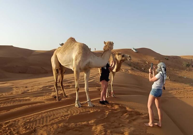Dubai: Red Dunes Morning Desert Quad, Buggy or 4x4 Ride - Final Thoughts