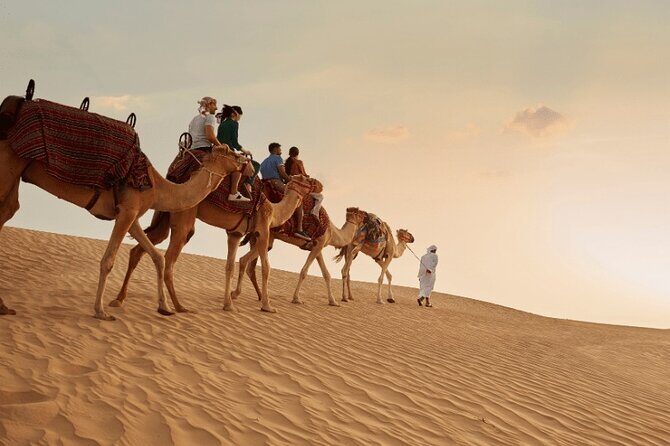 Dubai Red Dunes Safari, Camel Ride & Live BBQ - Practical Tips for Your Desert Safari