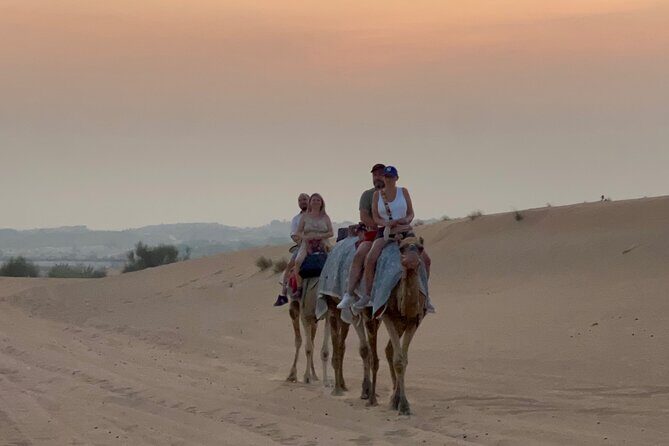 Dubai Red Dunes Safari, Camel Ride & Live BBQ - Who Will Love This Experience?