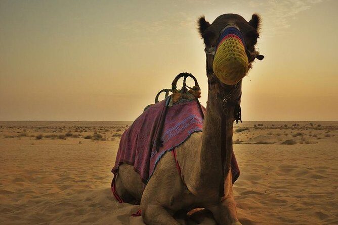 Dubai Red Dunes Safari - Dining and Cultural Immersion