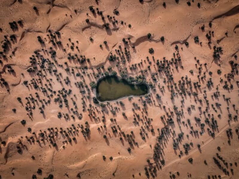 Dubai Red Dunes Safari: Dune Bashing, Camel Ride & Breakfast - FAQ