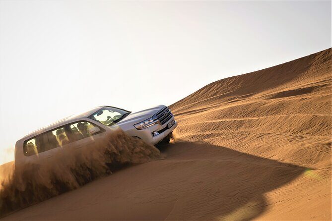 Dubai Red Dunes with Sandboarding, Camel Ride, Falcon & VIP Camp - Key Points