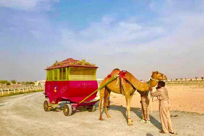 Dubai Royal Camel Race with Prime Seats & Short Camel Ride - Authenticity and What You’ll Take Away