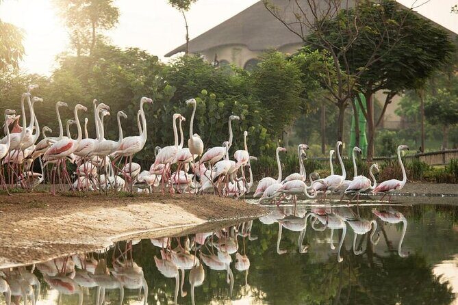 Dubai Safari Park - Key Points