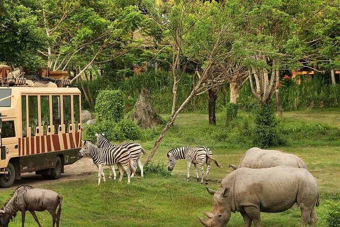 Dubai Safari Park - Experiences from Visitors: What They Loved and Noticed
