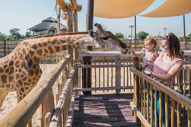 Dubai Safari Park With Transfer - The Realities: What Reviewers Say