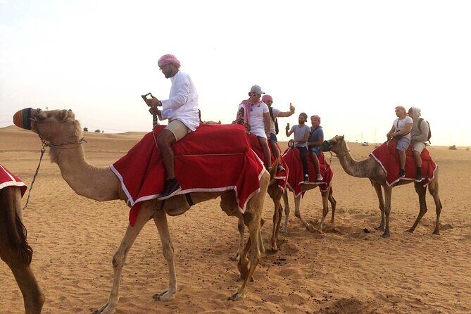 Dubai: Sandboarding, Camel Ride and Red Dune Bashing Safari - Who Is This Tour Best For?