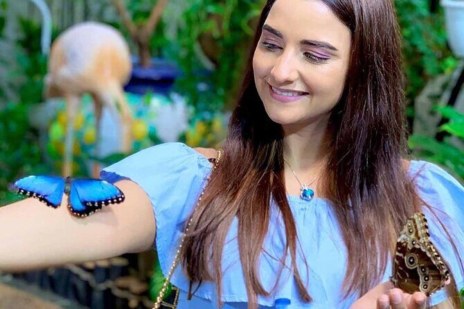 Dubai: Skip-The-Line Ticket to Butterfly Garden - FAQ