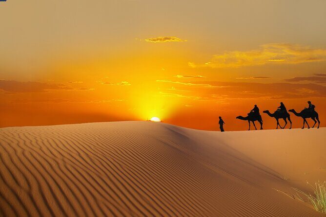 Dubai Sunrise Desert Safari - The Experience: A Detailed Breakdown