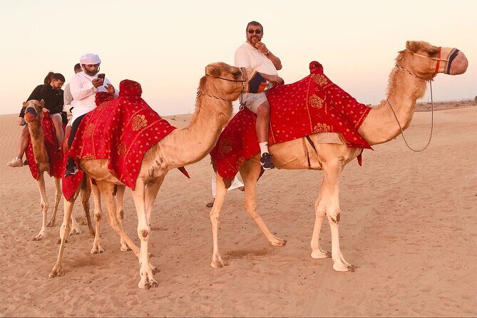 Dubai Sunrise Desert Safari Red Dune Camel Falcon & Sandboarding - FAQs