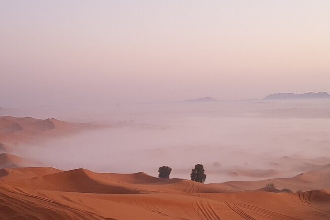 Dubai Sunrise Red Dunes Safari-( Private Tour ) - Final thoughts: Is this tour worth it?