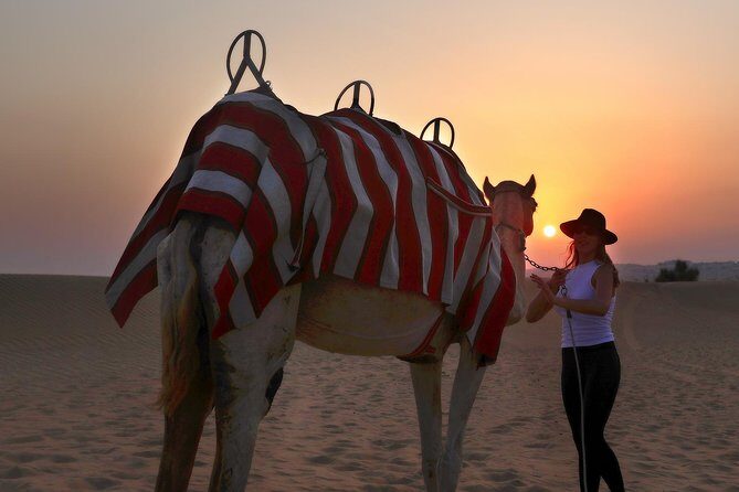 Dubai Sunset Camel Trekking With BBQ Dinner at VIP Camp - Convenient Pickup and Transportation