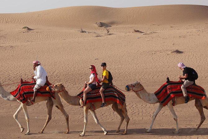 Dubai Sunset Camel Trekking With BBQ Dinner at VIP Camp - A Hearty BBQ Dinner