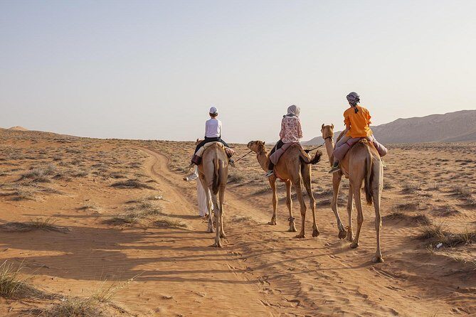 Dubai Sunset Camel Trekking with Shows & BBQ Dinner - Frequently Asked Questions
