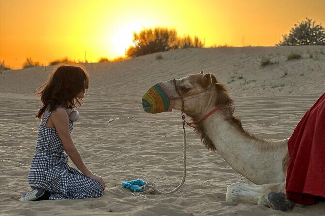Dubai Sunset Red Dune Desert Safari, Sandboarding and Camel Ride - FAQ