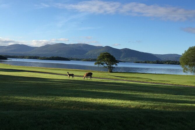 dublin-airport-private-transfer-dublin-airport-to-killarney