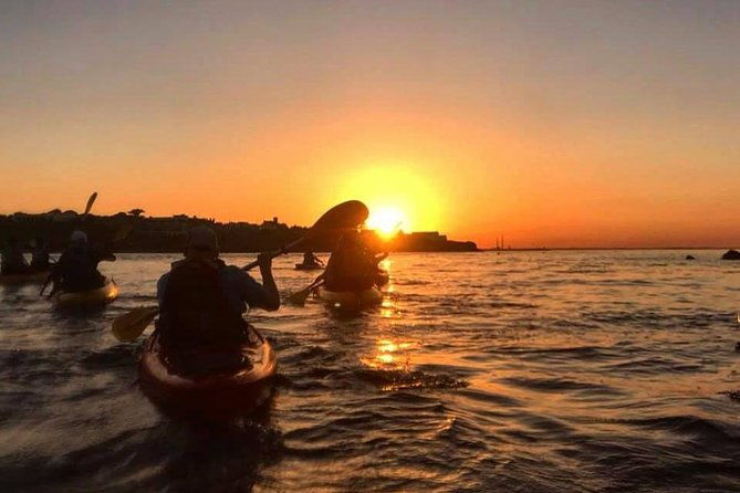 dublin-bay-seal-kayaking-safari-at-dalkey