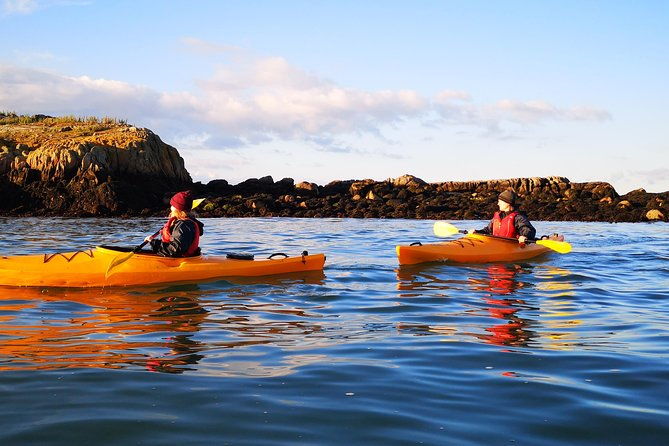 dublin-bay-seal-kayaking-safari-at-dalkey