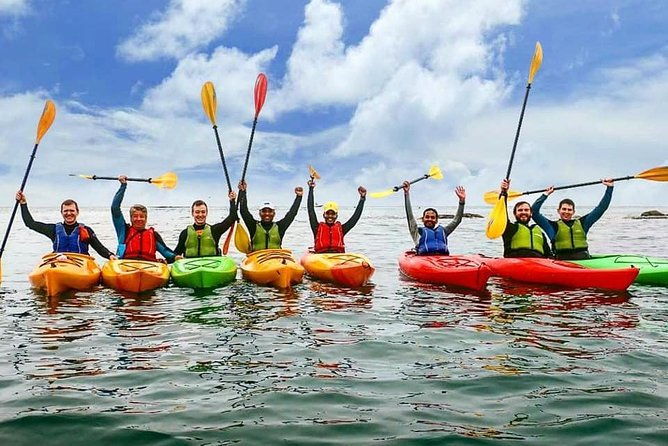 dublin-bay-seal-kayaking-safari-at-dalkey