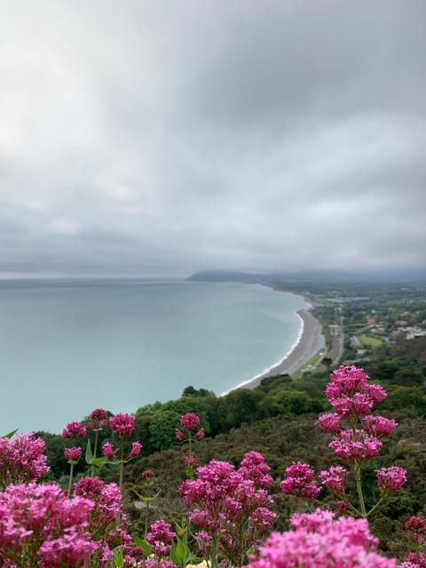 dublin-coast-wicklow-mountains-luxury-private-day-tour