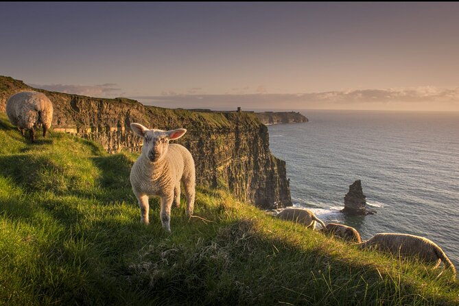 dublin-day-trip-to-cliffs-of-moher-ennis-town-bunratty-castle