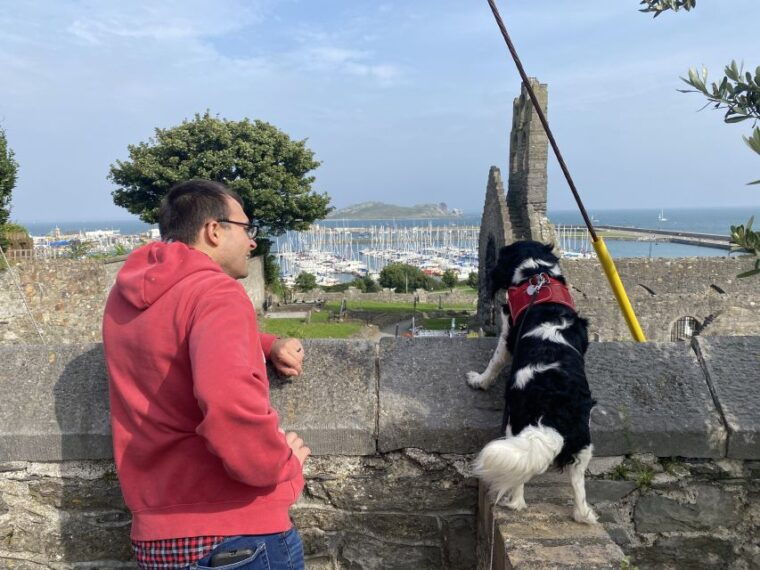 dublin-dublin-coastal-hike-and-pints-puppies