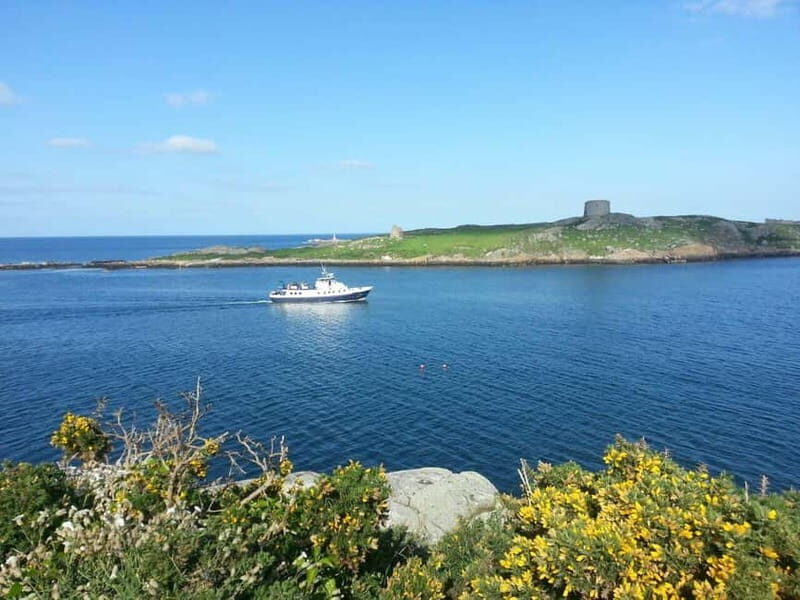 Dublin: Dun Laoghaire Dalkey Island Boat Cruise - Practical Details & Tips for Travelers