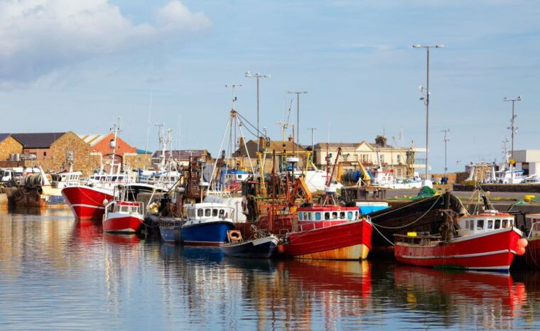 dublin-full-day-howth-and-malahide-castle-tour