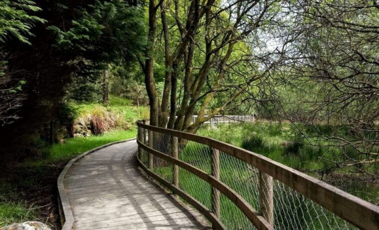 dublin-full-day-wicklow-mountains-tour-w-glendalough-visit