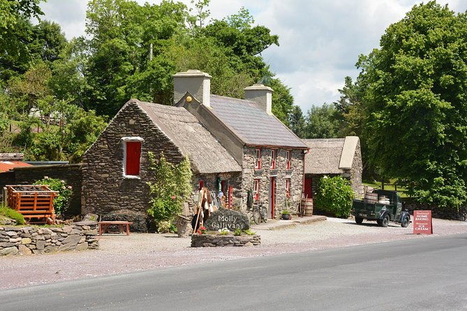 dublin-half-day-tour-with-a-local-100-personalized-private