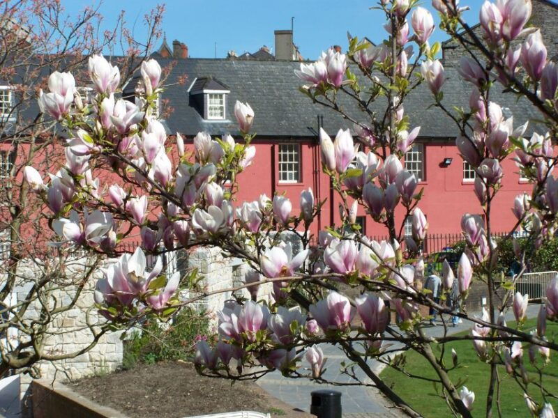 dublin-highlights-and-hidden-corners-walking-tour