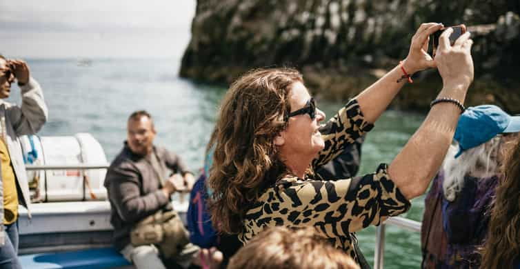 dublin-howth-coastal-boat-tour