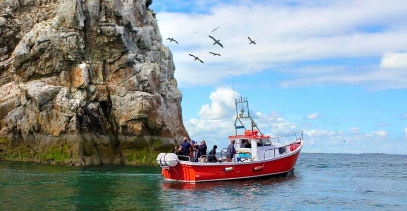 dublin-howth-coastal-boat-tour