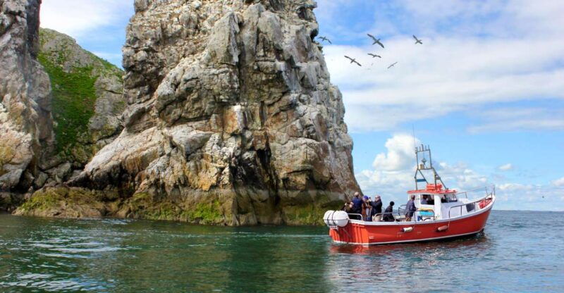 dublin-howth-coastal-boat-tour