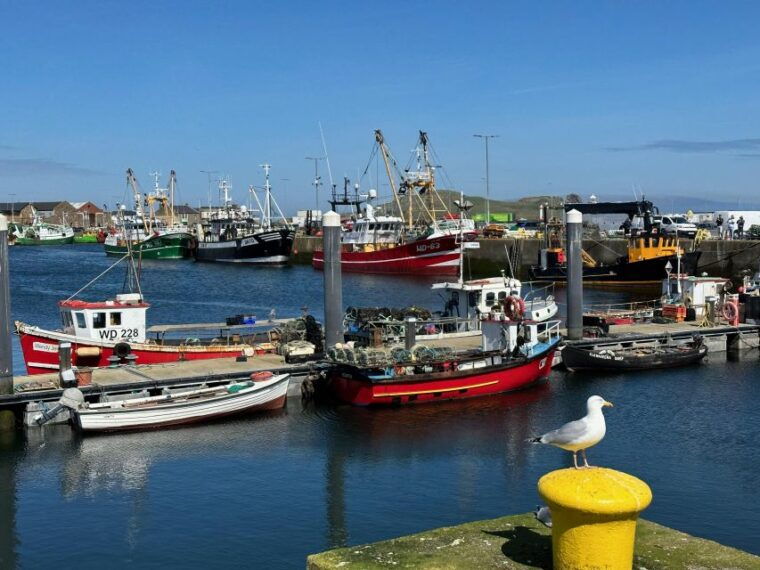 dublin-howth-coastal-hiking-tour