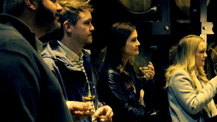 dublin-jameson-and-guinness-private-tour-with-transfers