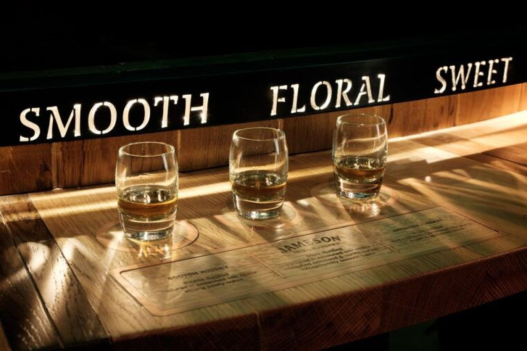 dublin-jameson-and-guinness-private-tour-with-transfers