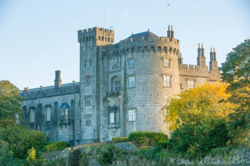 dublin-kilkenny-wicklow-glendalough-tour-sheepdog-show