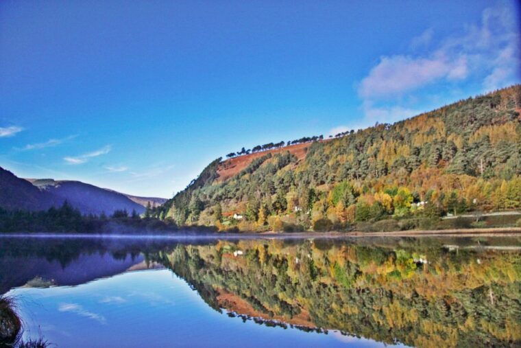 dublin-kilkenny-wicklow-glendalough-tour-sheepdog-show