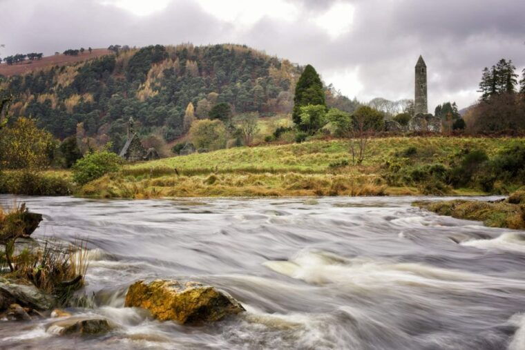 dublin-kilkenny-wicklow-glendalough-tour-sheepdog-show